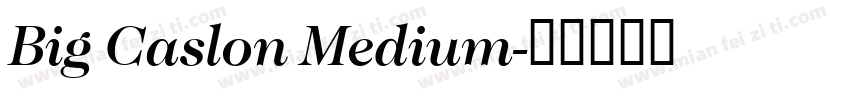 Big Caslon Medium字体转换